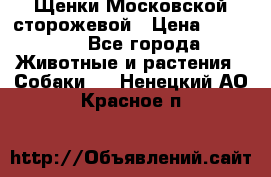 Щенки Московской сторожевой › Цена ­ 35 000 - Все города Животные и растения » Собаки   . Ненецкий АО,Красное п.